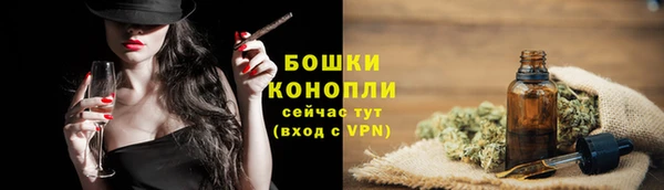 спиды Лиски