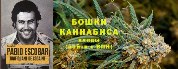 спиды Лиски