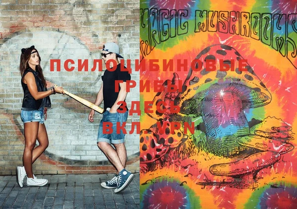 спиды Лиски