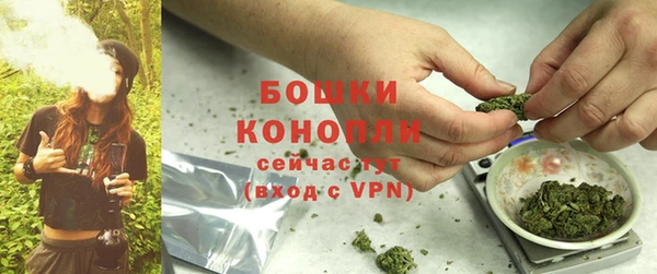 спиды Лиски