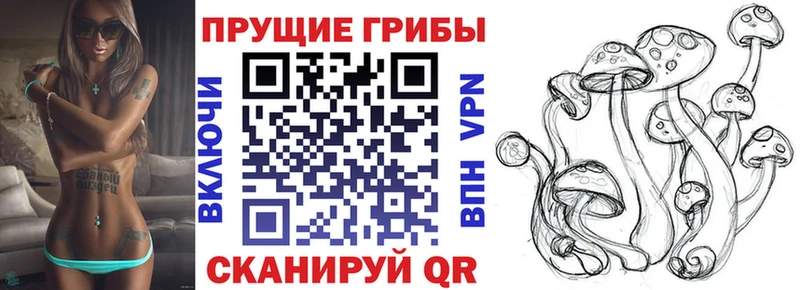 где купить   Астрахань  Галлюциногенные грибы ЛСД 