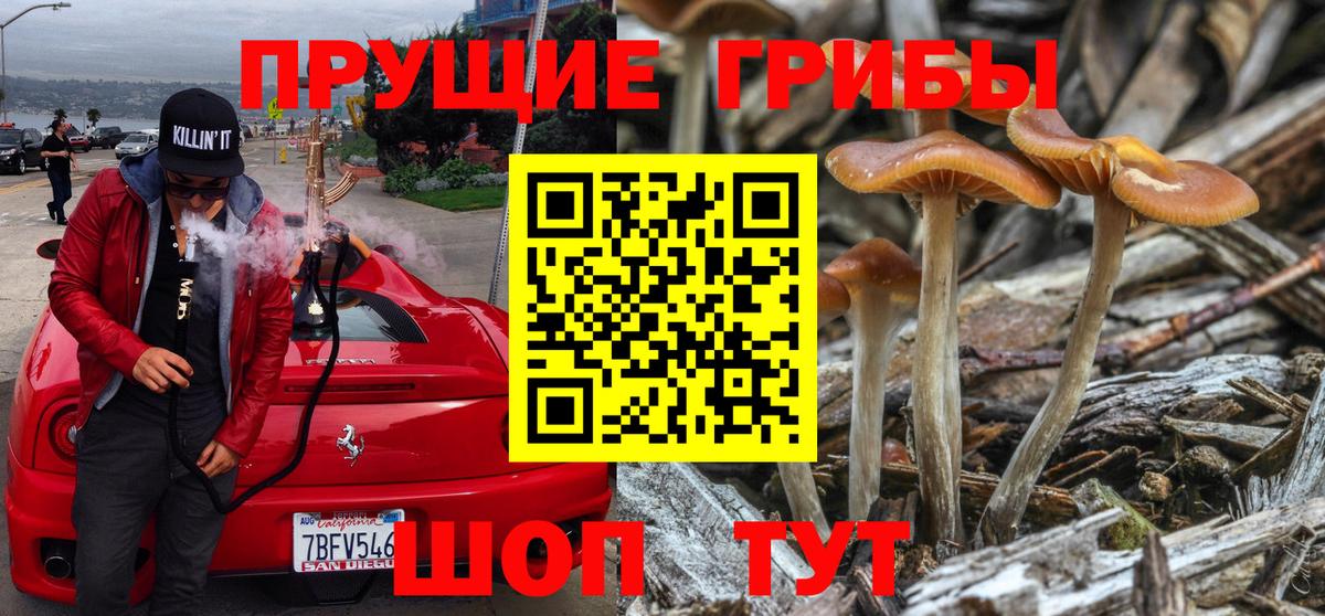где найти   Вход с VPN  Астрахань  Галлюциногенные грибы прущие грибы 